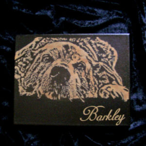 Read more about the article Buckley Memorial Canvas