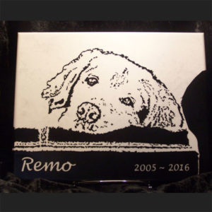 Read more about the article Remo Memorial Tile