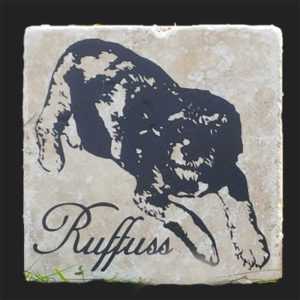 Read more about the article Ruffuss Memorial Tile