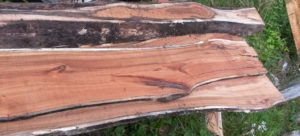 Read more about the article Fresh Cut Cherry Log
